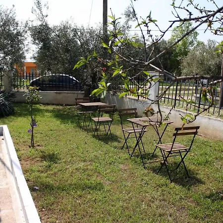 Venus Seaside 4 Bedroom Halkidiki
